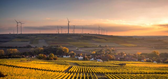 structural shot of wind mills during daytime by Karsten Würth courtesy of Unsplash.